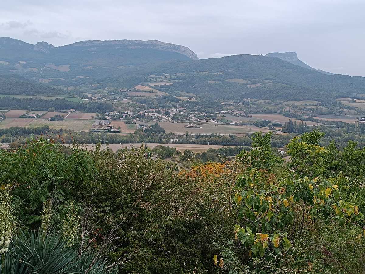 photo absente