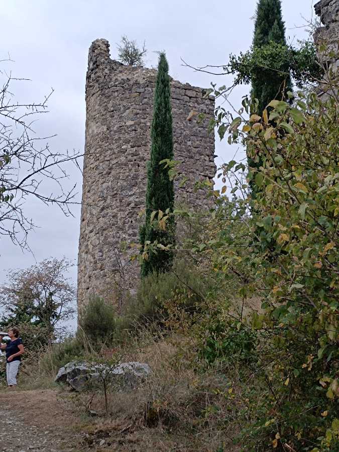 photo absente