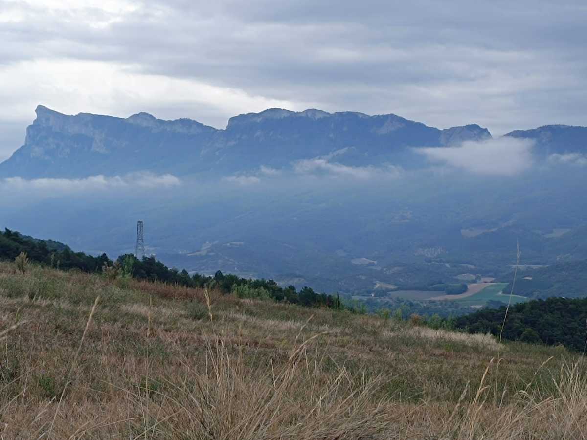 photo absente