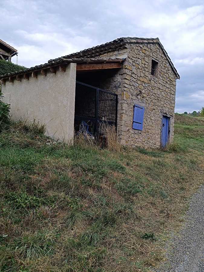 photo absente